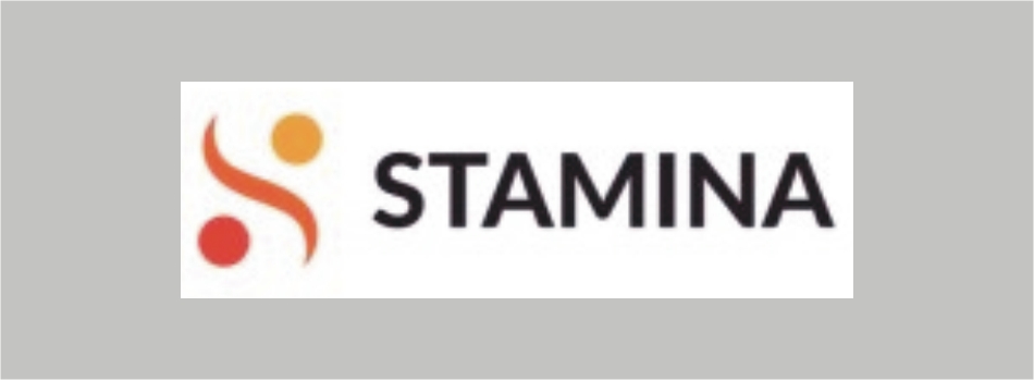 STAMINA Newsletter: 2nd Edition